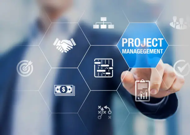 Strategic IT Project Management Services